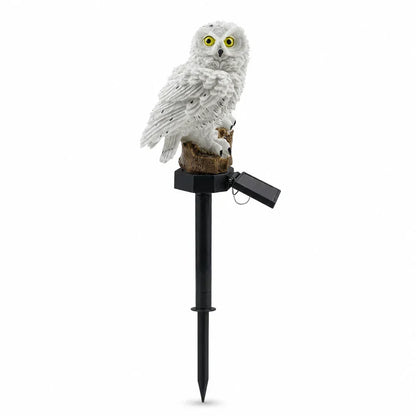 Brighten your garden path today Solar Owl Pathway Light
