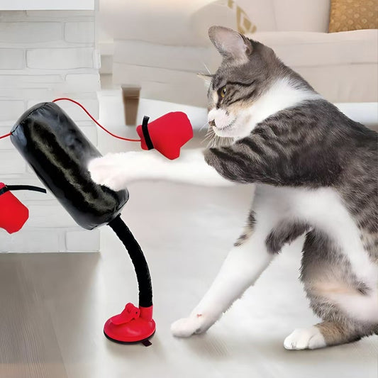 🐱Keeps indoor cats active🥊Mini Cat Punching Bag