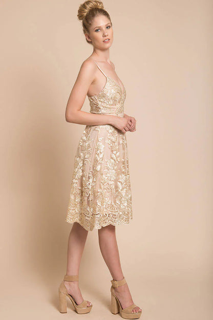 Delilah Lace Dress Beige